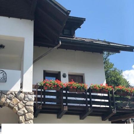 La Casa Di Monte Ricco Apartment Pieve di Cadore Exterior foto