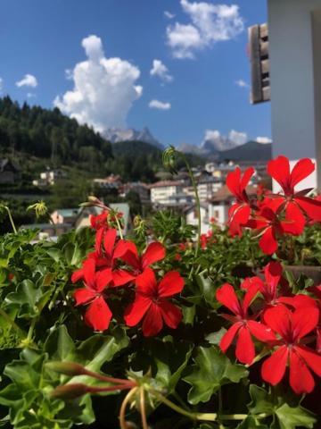 La Casa Di Monte Ricco Apartment Pieve di Cadore Exterior foto