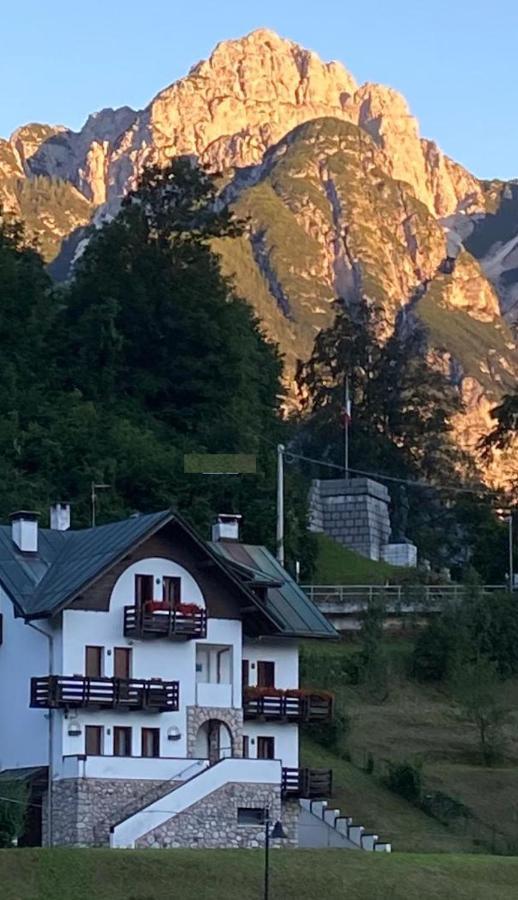 La Casa Di Monte Ricco Apartment Pieve di Cadore Exterior foto