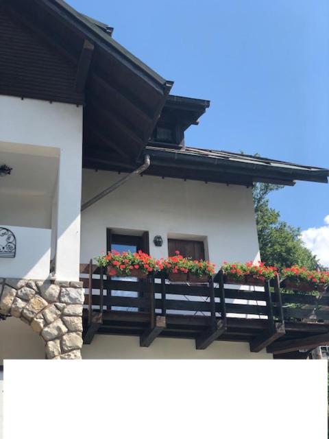 La Casa Di Monte Ricco Apartment Pieve di Cadore Exterior foto