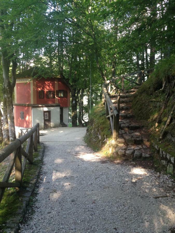 La Casa Di Monte Ricco Apartment Pieve di Cadore Exterior foto